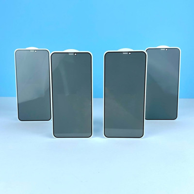 Звичайне скло антишпигун iPhone 12 Pro Max