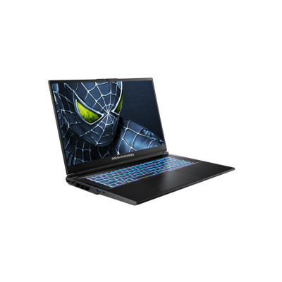 Ноутбук Dream Machines RG5050-17 | 17.3" | Intel Core i9 14900HX (2.2 - 5.8 ГГц) | 32 ГБ | 2 Тб | NVIDIA GeForce RTX 5050