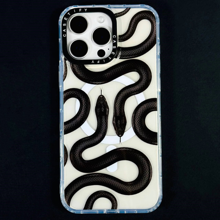 Накладка Transparent CaseTify Brand MagSafe IPhone 11 Pro Max 6.5 (14)